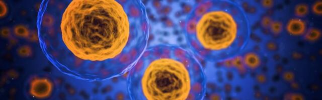 Telo oživljava ćelije označene za smrt – misterija stara 50 godina