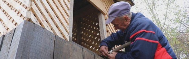 PRONAĐENO SKRIVENO BLAGO OBRENOVIĆA! Dobrivoje U bunaru našao zlatnike velikog srpskog kneza!