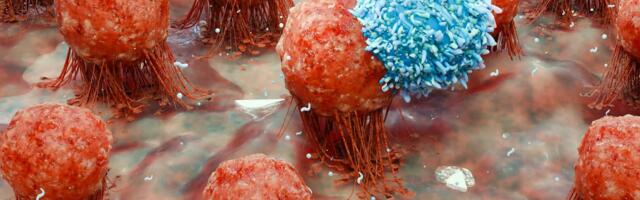 Zaštita od gripa zavisi od B-ćelija u plućima