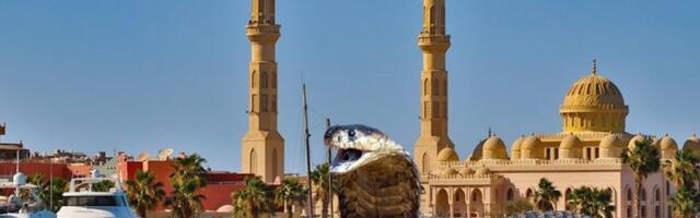 HOROR U OMILJENOM LETOVALIŠTU SRBA! Kobra ujela turisti na predstavi, čovek odmah UMRO