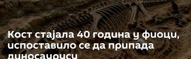 Кост стајала 40 година у фиоци, испоставило се да припада диносаурусу