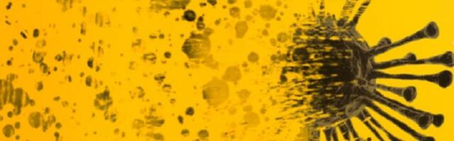 Coronavirus: Slovenia sees alarming spread of Omicron, new rules in force