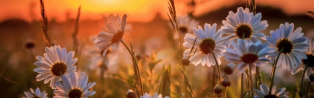HOROSKOP ZA NEDELJU, 2. APRIL Za Vodoliju nova ljubav je na pomolu, Raku put u inostranstvo, Devici pluća slaba tačka