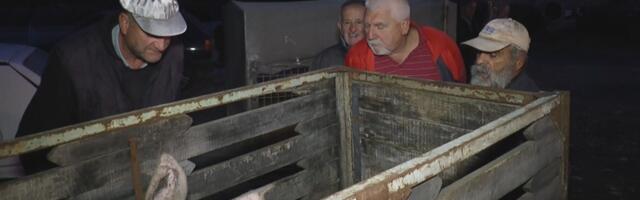 Ponovo radi stočna pijaca u  Ljubiću