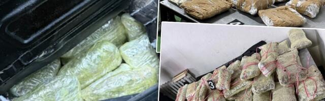 "Tapacirao" auto marihuanom: Carinici otkrili tajne pregrade u vozilu i zaplenili 100 paketa droge (FOTO)