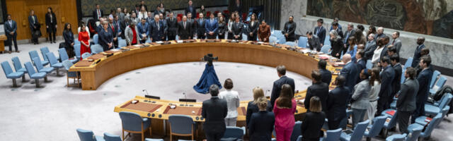 TEŠKE REČI U SB UN Ukrajinka popustila, pa se ostrvila: Mi ćemo birati, nema ništa od priznavanja!