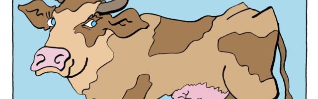 Corax za 25. decembar 2025.