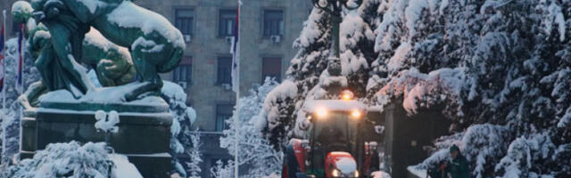 „Зеленило-Београд“ чисти снег и санира штету од обилних падавина