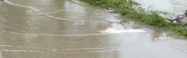 Водостаји Дунава и Тисе у стагнацији, Саве и Велике Мораве у порасту