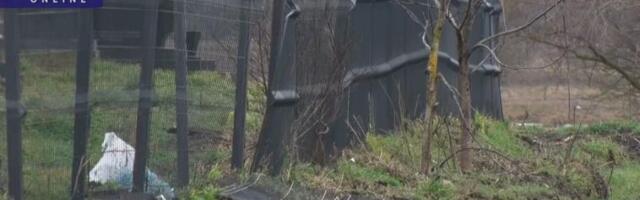 SRBINU NI MRTVOM NE DAJU MIRA, NELJUDI ODNELI SRPSKU ZASTAVU I RAZBACALI CVEĆE: Oskrnavljen grob Ivice Talića u Skulanevu kod Lipljana (FOTO/VIDEO)