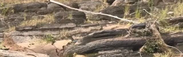 Ispod površine reke Talek vreba smrtna opasnost: Od lovca do lovine za nekoliko sekundi