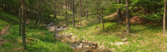 Prognoza vremena za subotu, 25. april: Danas sunčano i još toplije