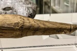 „Дефинитивно није за поправљање чарапа“ – откривен древни дрвени дилдо у римском утврђењу