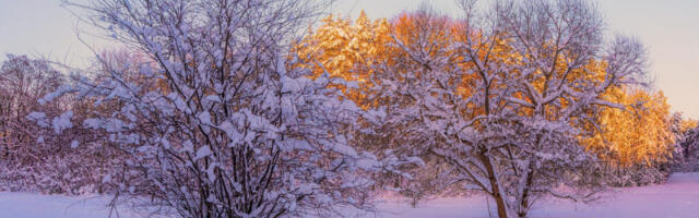 Proglašena vanredna situacija u Loznici