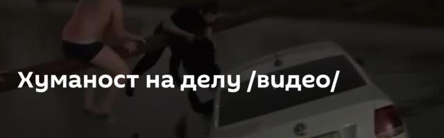 Хуманост на делу /видео/