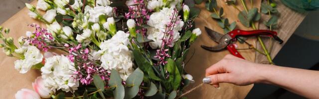 Neočekivana posledica rata u Iranu: Cveće bi moglo da postane retkost sa cenama samo za dublji džep