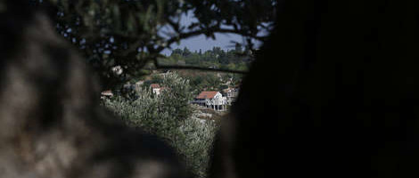 Novih 3.000 jevrejskih domova na Zapadnoj obali