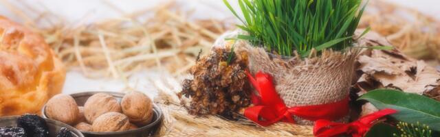 Kada se sadi božićna pšenica i zašto je toliko važna? Običaj koji donosi mir, blagostanje i nadu u svaki dom