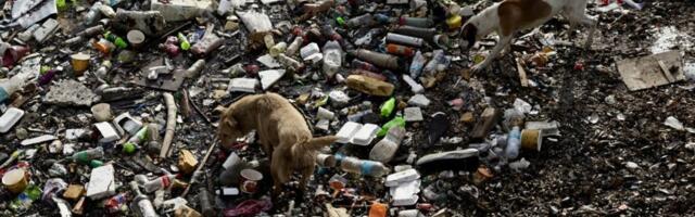 Izgubljene godine zdravog života – da li će nas plastika razboleti do 2040. godine