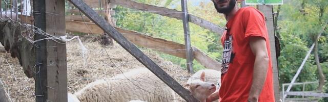 Ovo je Milovanovo parče raja u kom je lisica domaća životinja: Napravio oazu za decu, pa podelio s drugima