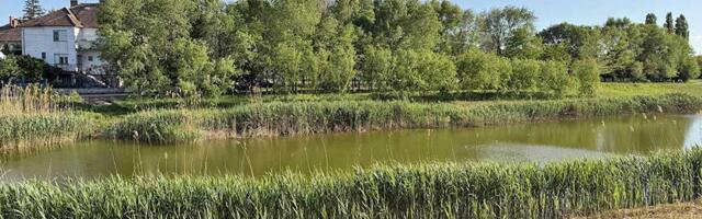 Zrenjanin: Obećana luksuzna plaža za 10.000 ljudi, a ostalo samo zapušteno jezero