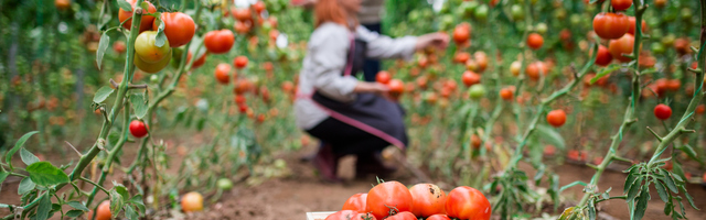 Zašto je privreda Srbije manje pogođena od ostalih?