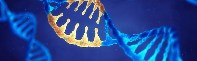 THE GUARDIAN: Za odgovor organizma na koronu ključni su geni