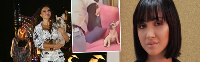 KRVNIČKO UDARANJE I MALTRETIRANJE PABLA! Martina Petrović svom psu stavljala hemikalije koje mogu da ga ubiju, a sada Stanijinog ljubimca UDARA PO GLAVI! (FOTO)