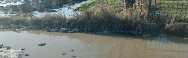 “Niš, moj grad”: Ulice Niša pune rupa, meštani Gornje Trnave godinama čekaju na sanaciju puta