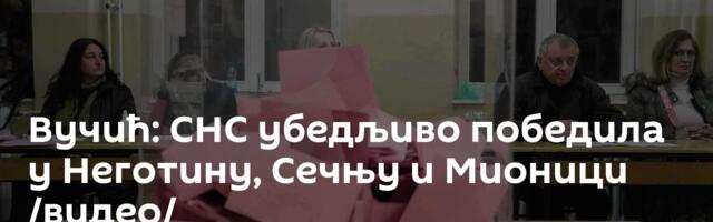 Вучић: СНС убедљиво победила у Неготину, Сечњу и Мионици /видео/