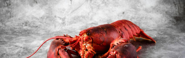 Velika krađa jastoga potresla Ameriku: Lopovi razvili šemu za presretanje pošiljki