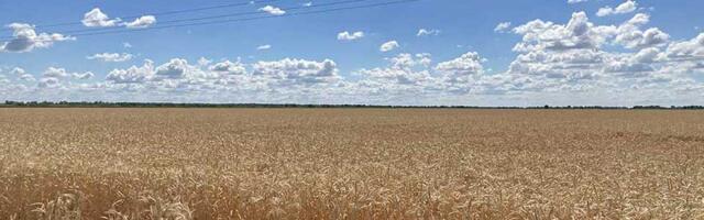 Slobodan Đurin (SSP): Zakup poljoprivrednog zemljišta u Zrenjaninu pretvoren u farsu