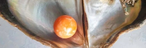 Čovek kome će jedna školjka zauvek promeniti život