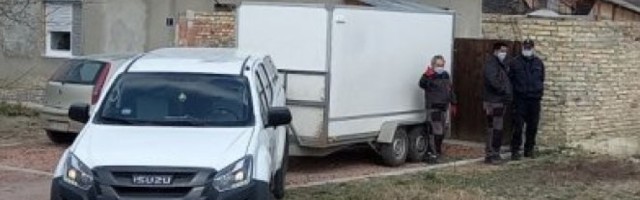 KRVOLOČNI PSI KOJI SU UBILI DEČAKA TESTIRANI NA BESNILO! Smrtonosni napad na dete ZAPEČATIO JE NJIHOVU SUDBINU i pre rezultata!
