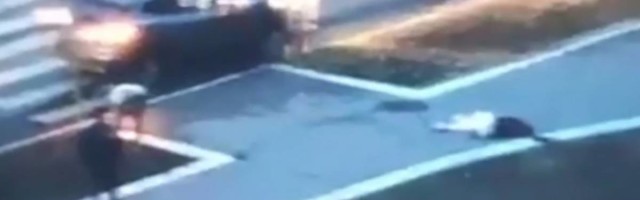 Dobrodošli u Srbiju gde muškarac brutalno prebije ženu nasred ulice i za to dobije samo prekršajnu prijavu