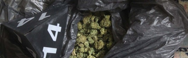 KRAJ DILERSKOJ BAND: Osmorica uhapšeni u akciji policije iz Niša, Zaječara i Prokuplja