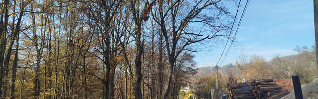 Radovi u MZ Carina i Sevojnu