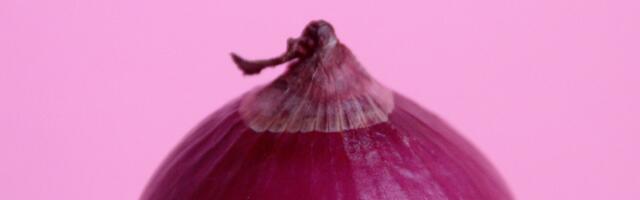 Crni luk ''prognozira'': Stari običaj otkriva kakva će biti godina