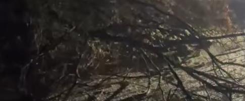 ODRON NA PUTU LUČANI-GUČA: Vozačima se savetuje oprez na ovoj deonici (VIDEO)