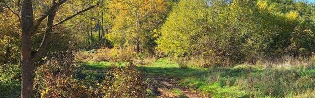 I lekari u šoku: Pazite, vreba opasnost iz trave!
