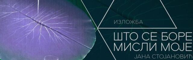 Izložba slika Jane Stojanović od četvrtka u SKCNS-u