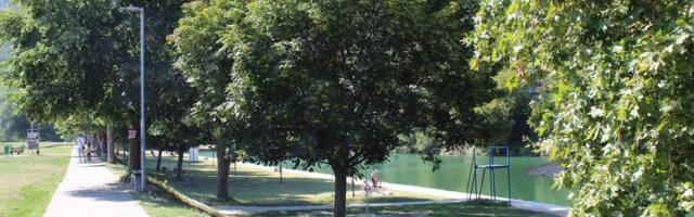 Suzbijanje larvi komaraca sutra u Vlsotincu
