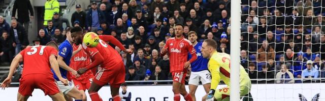 Crni Bleki! Nikola Milenković dao izuzetno efektan autogol u Premijer ligi