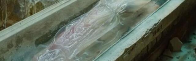 Rudari našli sanduk sa mrtvom princezom! Oči joj otvorene, telo očuvano, a onda je počelo da se dešava nešto jezivo