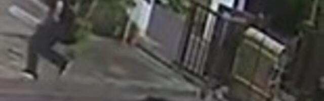 DA SE NAJEŽIŠ: Zver jurila ljude nasred ulice, ima POVREĐENIH, pogledajte SNIMAK, ovo nije normalno! (VIDEO)