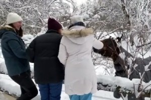 Студенткиње Тамара и Јана у Норвешкој, празници са колегама на српски начин