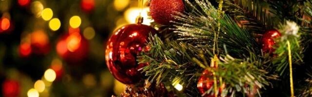 Pakao u stanu zbog jelke: Uz 4 genijalna trika iglice više neće padati po podu (VIDEO)