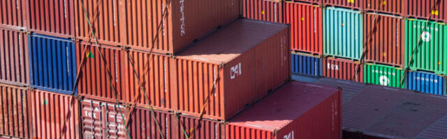 Европол разбио глобалну мрежу еколошког криминала, ухапшено 337 особа на пет континената