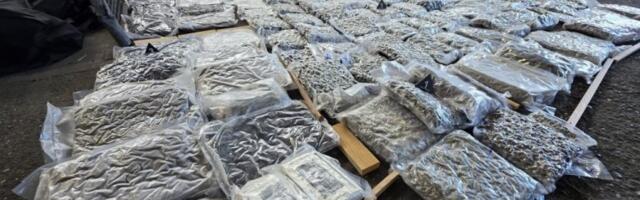 FILMSKA ZAPLENA NA GRANICI! Policija otvorila kamion, usledio šok - 200 kila marihuane i kokain!