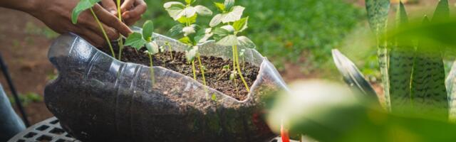 Napravite same: viseće saksije